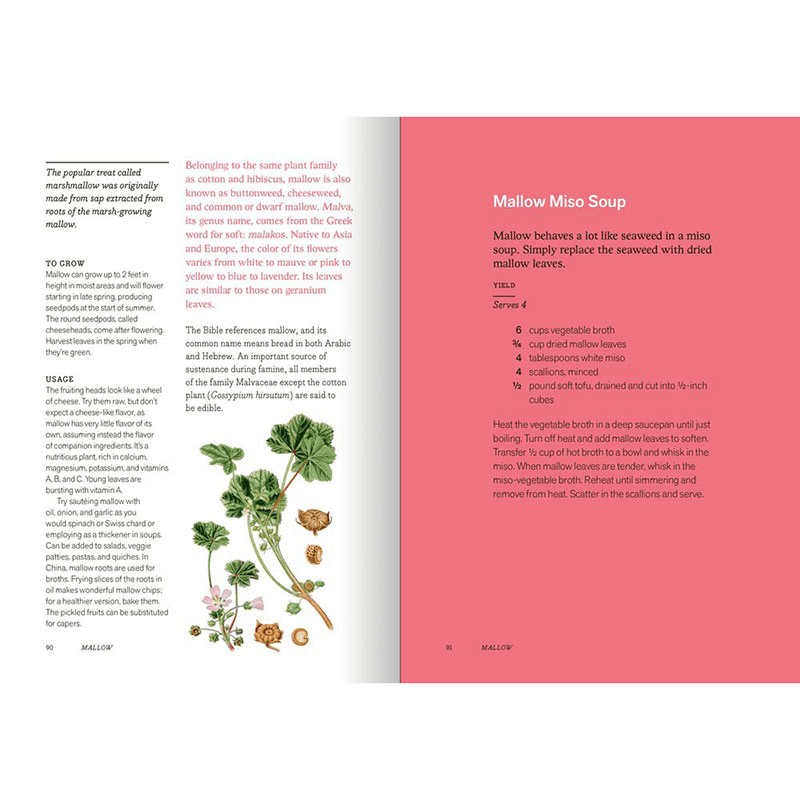 The New York Botanical Garden Herbal Handbook