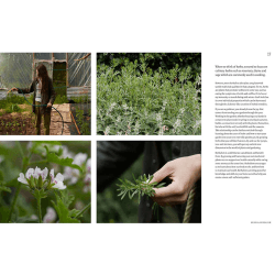 Image showing the Becky Cole Garden Apothecary product.