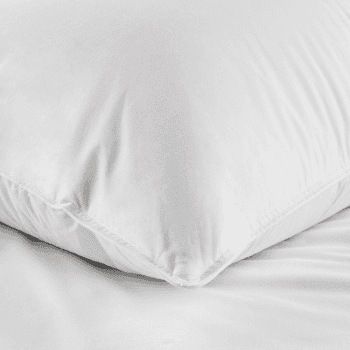 Image showing the Perfect Everyday Duck Feather & Down Collection - Medium/Firm Pillow standard, W50 x L75cm product.