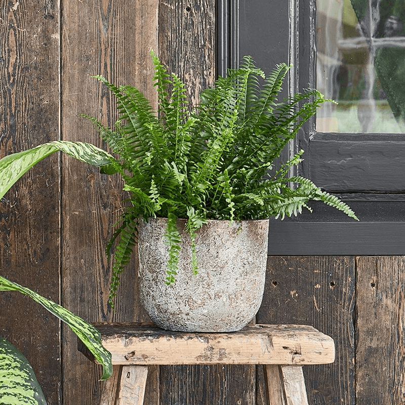 Albero Planter, D16cm, Brown
