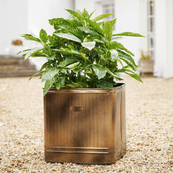 Image showing the Hampton Planter, D34cm, Copper product.