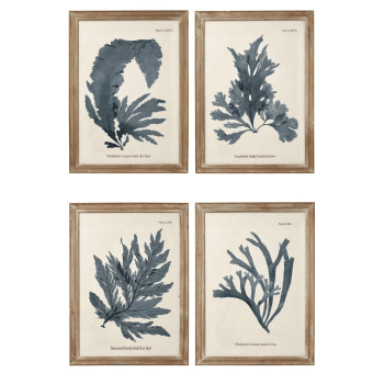 Image showing the Seaweed Set of 4 framed prints, H61 x W83cm product.