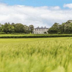 Image showing the Gift Voucher Towards a Stay at The Pig In The South Downs product.