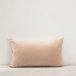 Image showing the Misi Velvet Cushion, 30 x 50cm, Shell product.