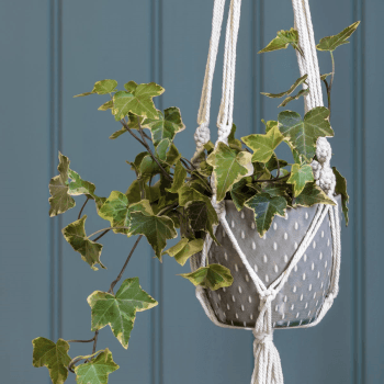 Image showing the Macrame Hanging Indoor Planter, Grey product.
