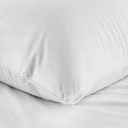 Image showing the Perfect Everyday Duck Feather & Down Collection - Medium/Firm Pillow standard, W50 x L75cm product.