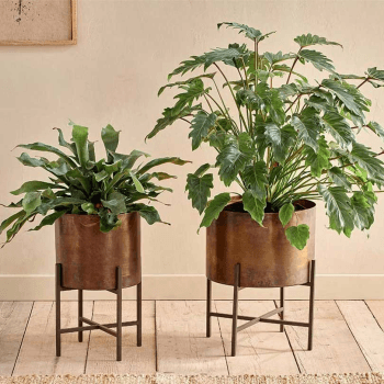 Image showing the Juoni Iron Planter, D35 cm, Aged Antique Brass product.