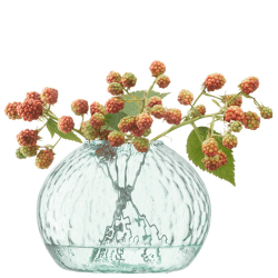 Image showing the Canopy Seed Vase, H11cm, Clear Recycled Glass product.