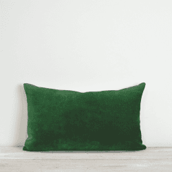 Image showing the Misi Velvet Cushion, 30 x 50cm, Parrot product.
