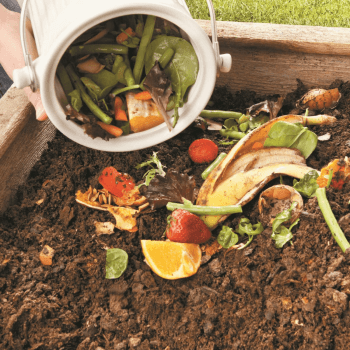 Image showing the Eco compost pail, 28 x 18cm - 4.5 litre, Cream product.