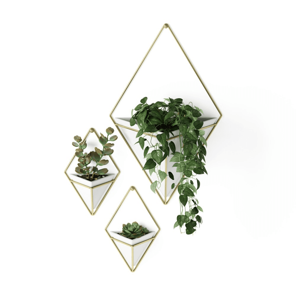 Trigg Set of 2 small wall vessels, H19 x W6cm, White/Brass
