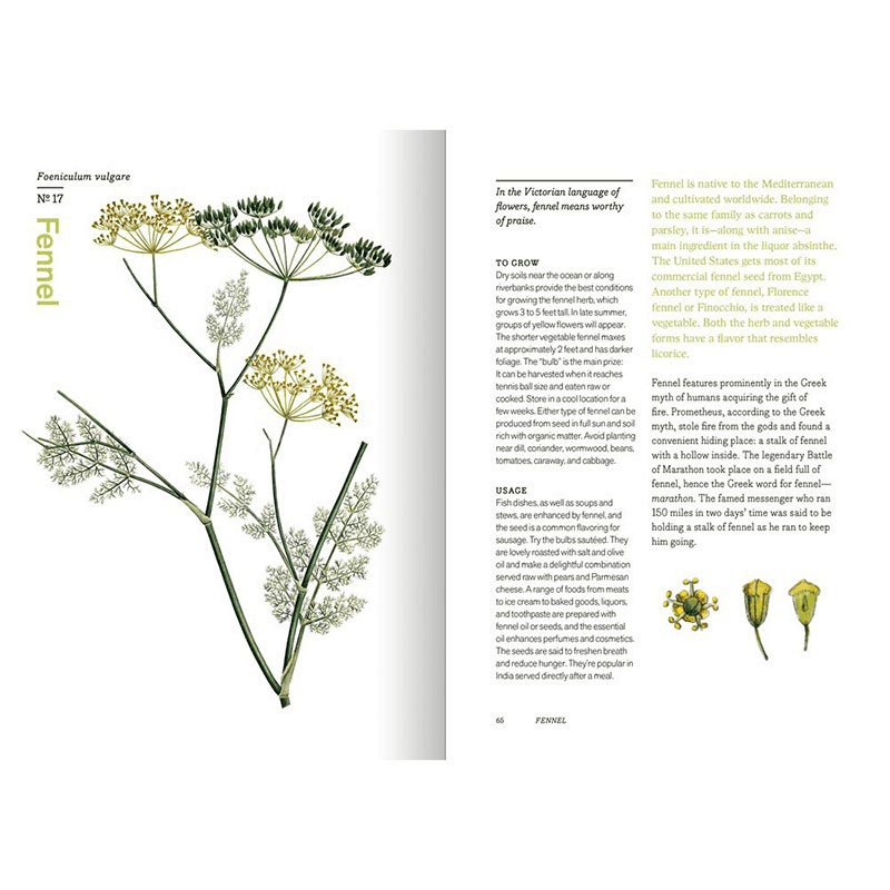 The New York Botanical Garden Herbal Handbook