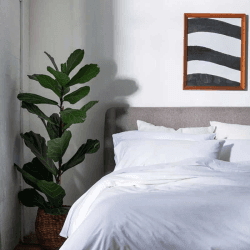 Image showing the Washed Cotton Percale King Size Fitted Sheet, White product.