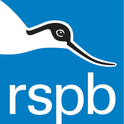 Image showing the A Donation Towards the RSPB product.
