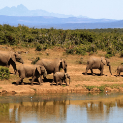 Image showing the Honeymoon Safari Lodge stay £100 product.