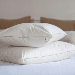 Image showing the Medium Firmness Organic Wool Regular Pillow, 50 x 75cm, Cream product.