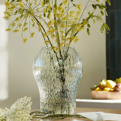 Image showing the Canopy Seed Vase, H27cm, Clear Recycled Glass product.