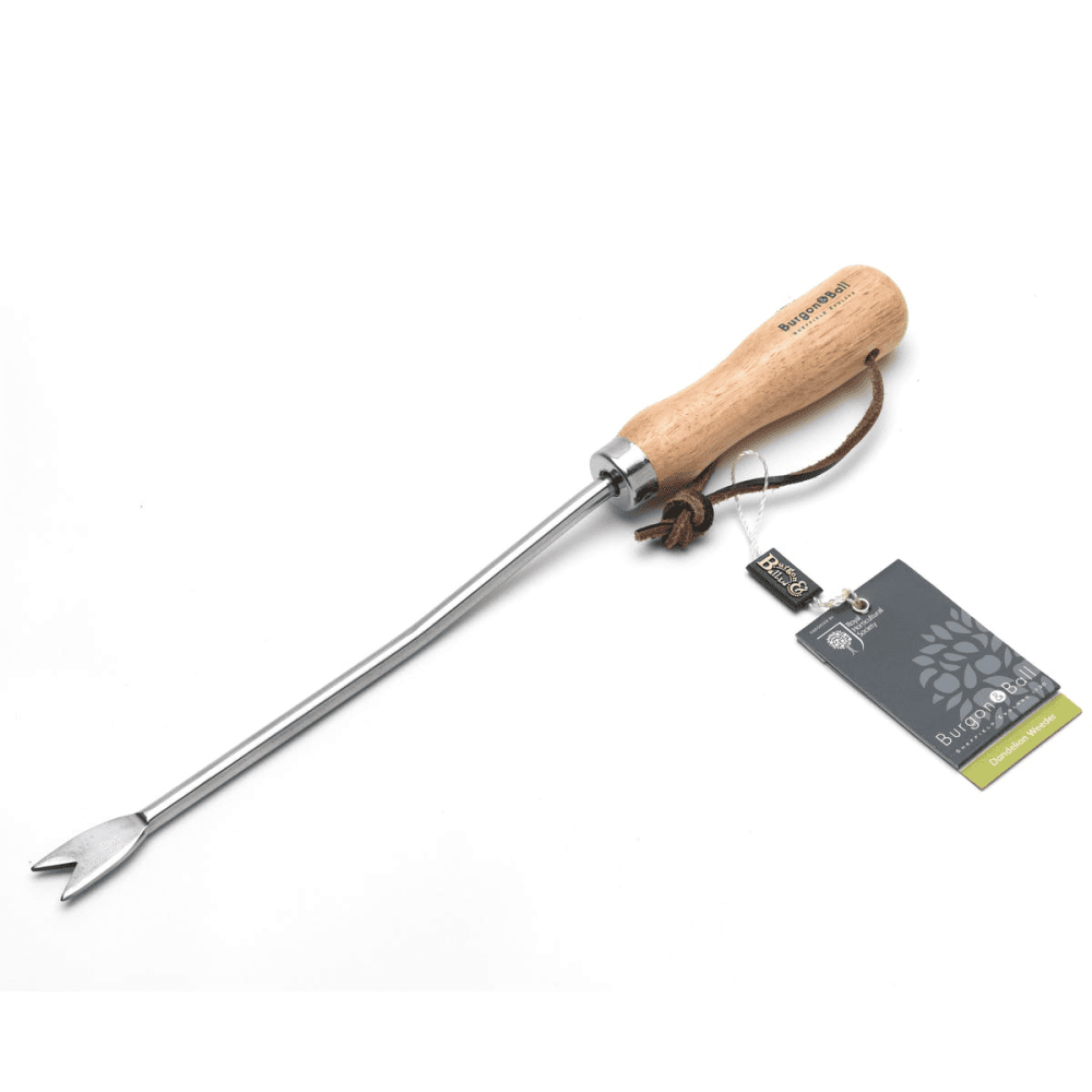 Stainless Steel Dandelion Weeder, Silver/Natural