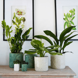 Image showing the Kew Botanical Retreat Stoneware Meadow Planter, D18cm, Green product.