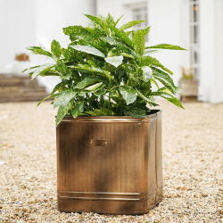 Image showing the Hampton Planter, D44cm, Copper product.