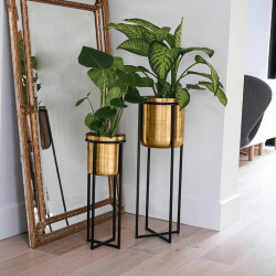 Image showing the Calla Planter Stand, H58 x D22cm, Black/Antique Gold product.
