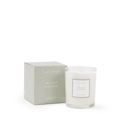 Image showing the Fig & Ginger Candle product.
