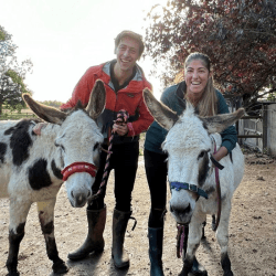 Image showing the Relaxing Two Night Glamping Break with Donkey Meet, Feed and Cuddles for Two at Starry Meadow product.