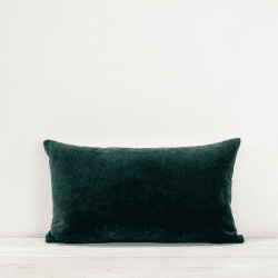 Image showing the Misi Velvet Cushion, 30 x 50cm, Pine product.