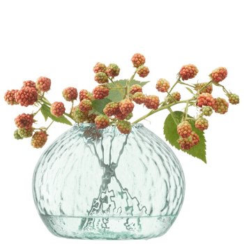 Image showing the Canopy Seed Vase, H11cm, Clear Recycled Glass product.