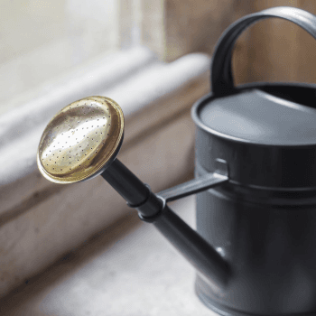 Image showing the Watering Can, 5L, Grey/Brass product.