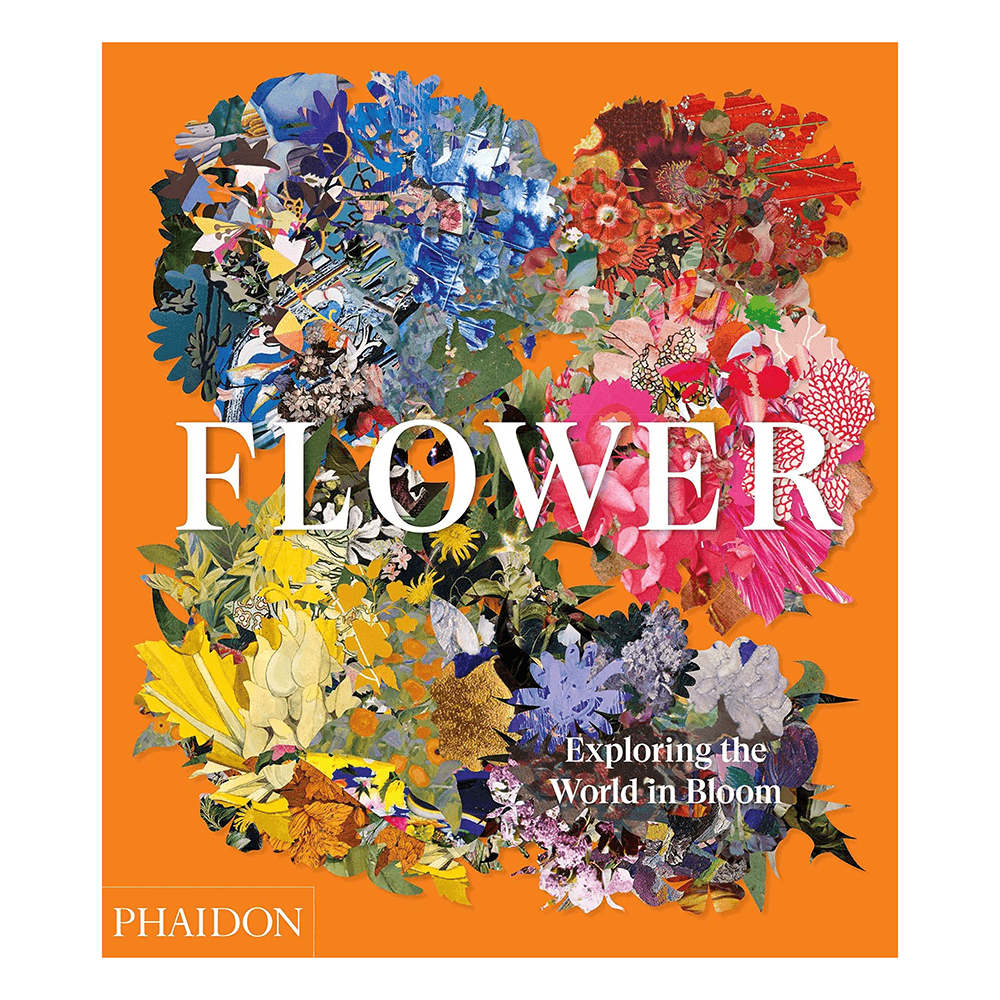 Flower: Exploring the World in Bloom