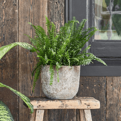 Image showing the Albero Planter, D16cm, Brown product.
