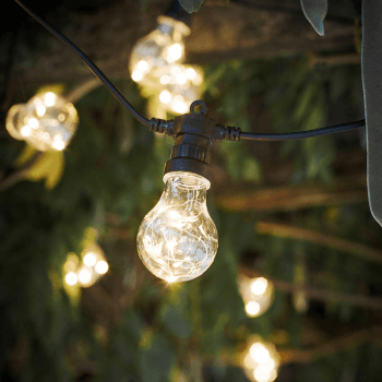 Image showing the Festoon Lights, 20 Bulbs, Black product.