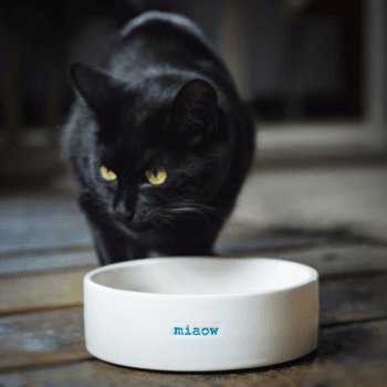 Image showing the 'Miaow' Cat Bowl product.