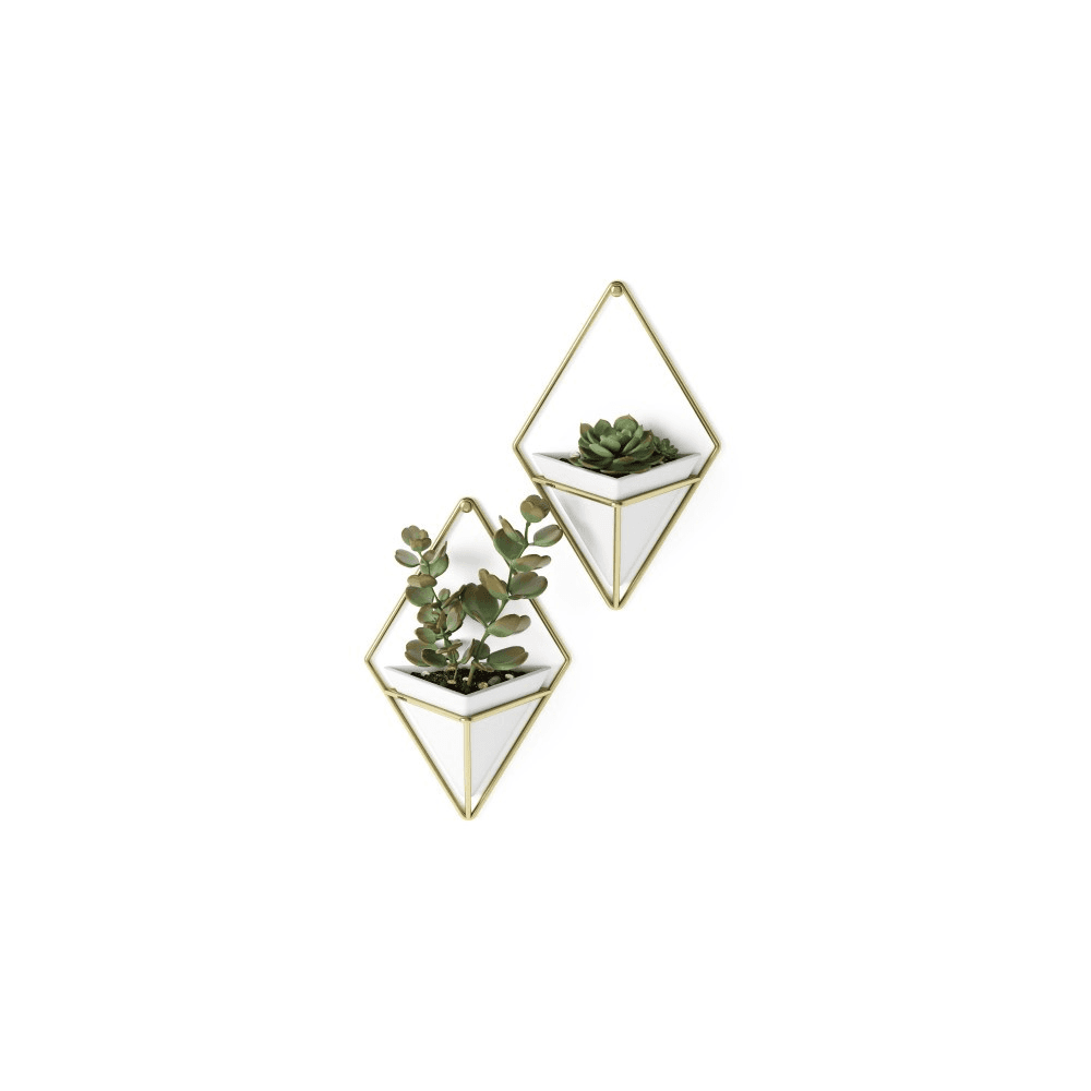 Trigg Set of 2 small wall vessels, H19 x W6cm, White/Brass
