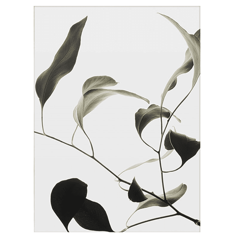 Floating Leaves 09 - A2 Fsc Print, A2, 60 x 42cm