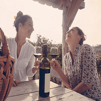 Image showing the Vineyard Tour, Tasting and Lunch for Two product.