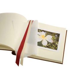 Image showing the Photo Album, 14", Navy (Bluemoon) product.
