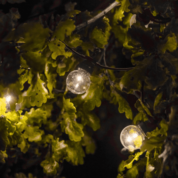 Image showing the Golf Ball Festoon Lights, 8.7m, Black product.