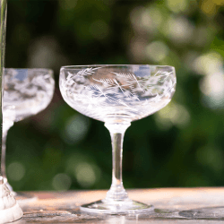 Image showing the Ferns Set of 4 Crystal Cocktail Glasses, 210ml, Clear product.