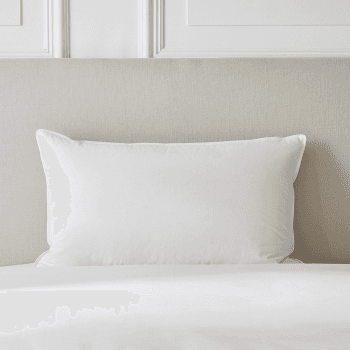 Image showing the Perfect Everyday Duck Feather & Down Collection - Medium/Firm Pillow standard, W50 x L75cm product.