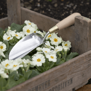 Image showing the Boxed Trowel, Silver/Natural product.