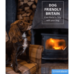 Image showing the Dog Friendly Britain: Cool Places to Stay with your Dog Book product.