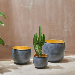 Image showing the Tembesi Planter, Medium, Antique Black & Brass product.