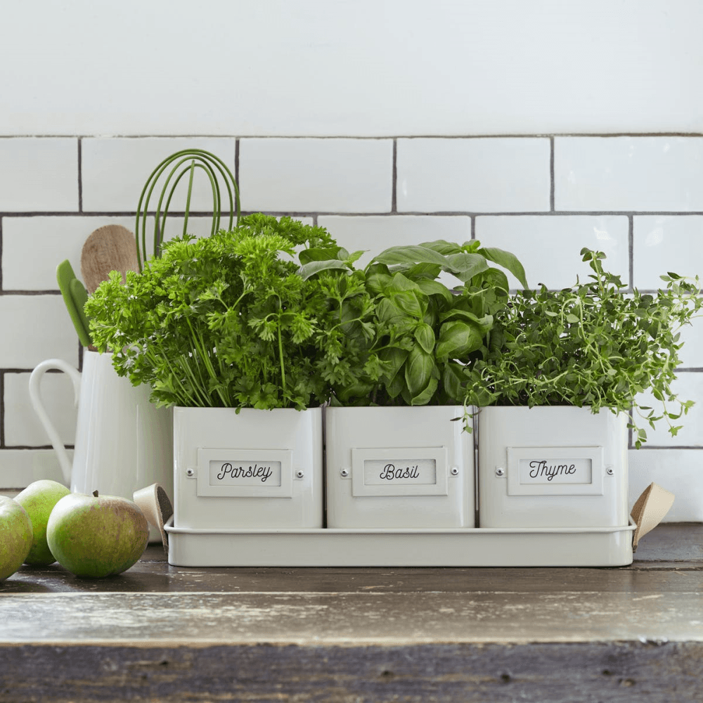 Enamelware Herb Pot, Set of 3, Stone, Cream