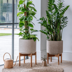 Image showing the Valetta Speckled Planter with Stand, H37cm, Caramel product.