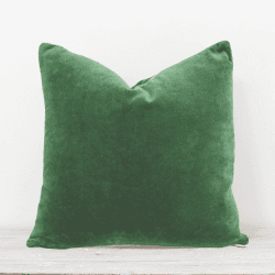 Image showing the Unari Velvet Cushion, 50 x 50cm, Parrot product.