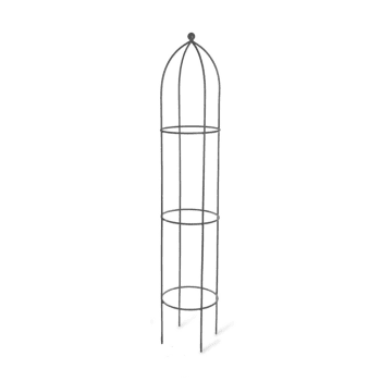 Image showing the Set of 2 plant supports, Silver product.