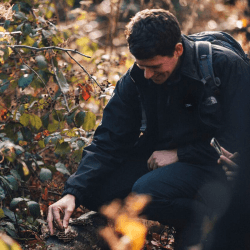 Image showing the Foraging, Cookery and Lunch for Two with Totally Wild product.