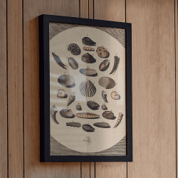 Image showing the Impressions Print Frame, A3, Black product.